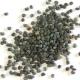 How To Extract Poppy Seeds